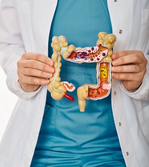 reparacion-intestinal-con-medicina-funcional.jpg